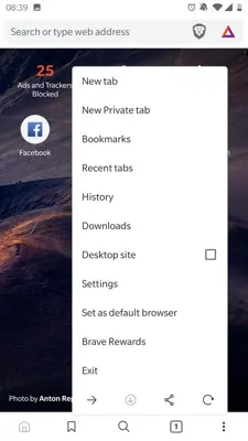 Brave Browser (Beta) android App screenshot 5